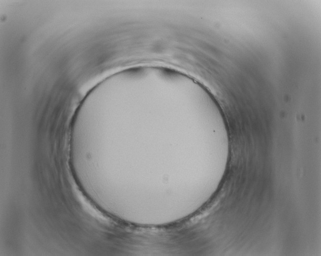 X0000088471526200706121516