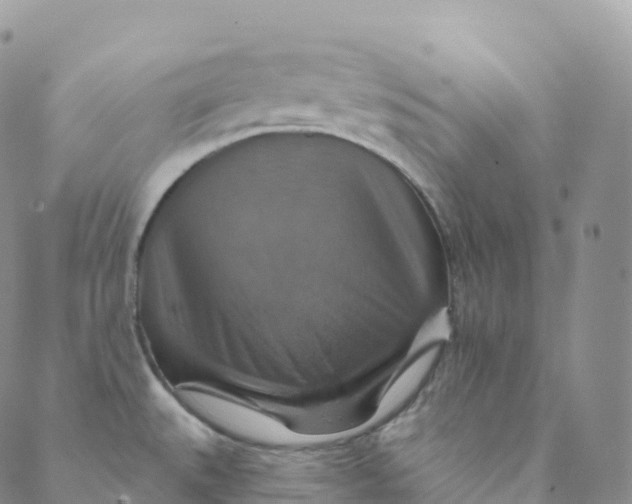 X0000088471527200706121516