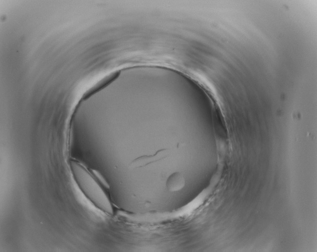 X0000088471528200706121516