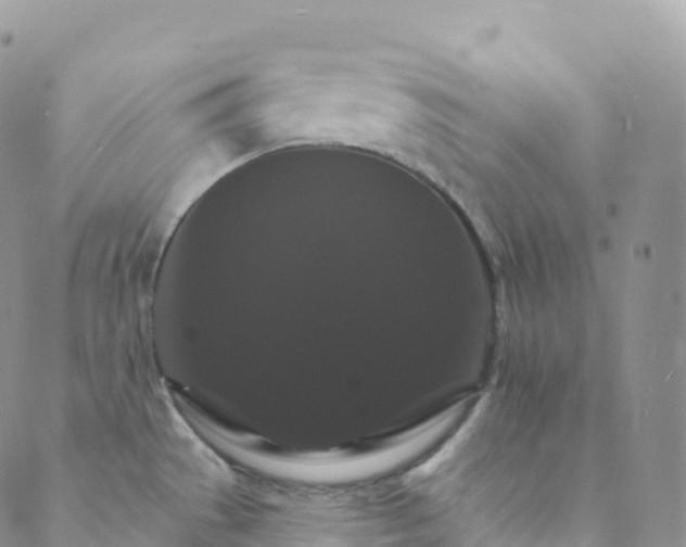 X0000088471529200706121516