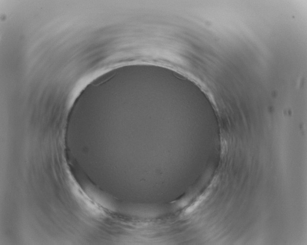 X0000088471530200706121516