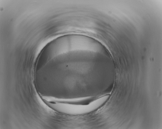 X0000088471531200706121517