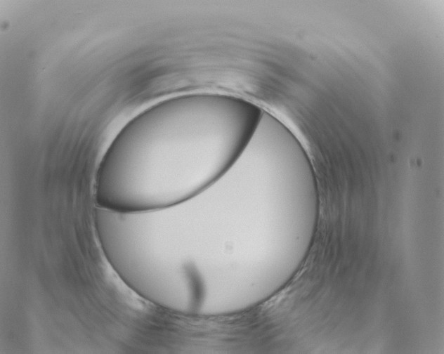 X0000088471532200706121517