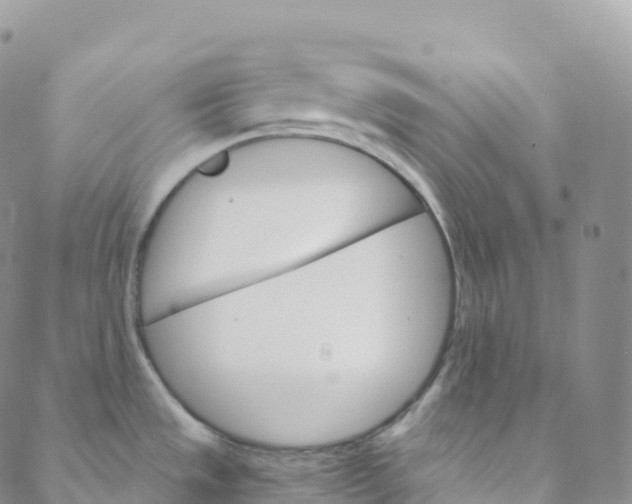 X0000088471533200706121517