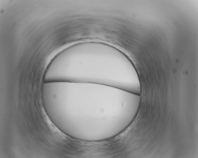 X0000088471534200706121517