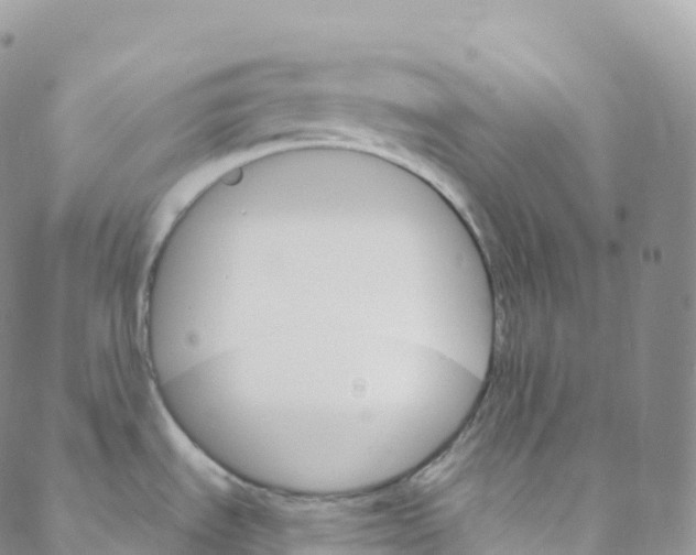 X0000088471535200706121517