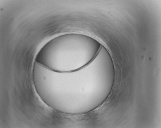 X0000088471536200706121517