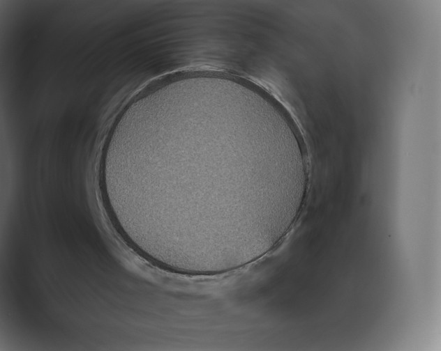 X0000088470001200706191356