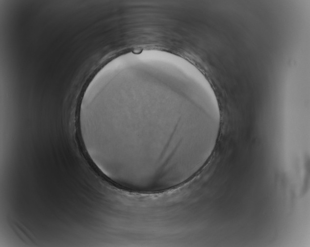 X0000088470002200706191356
