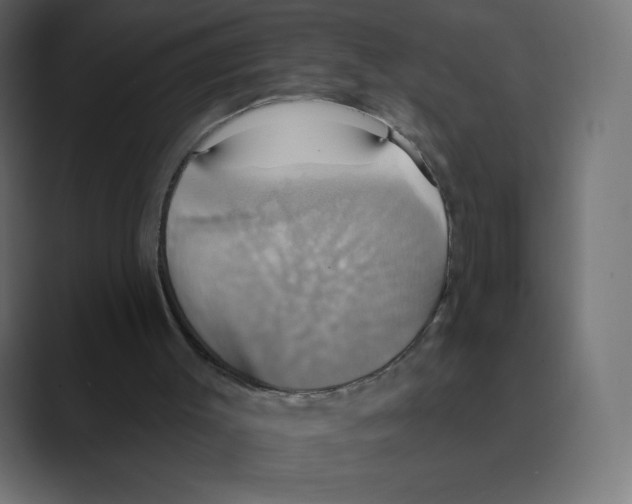 X0000088470003200706191356