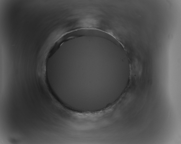 X0000088470005200706191356