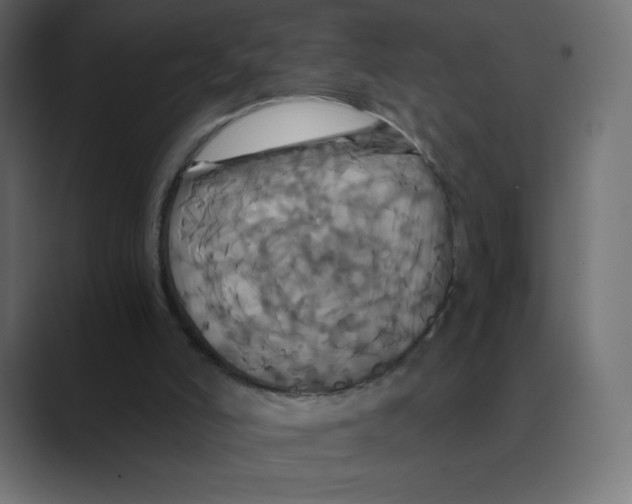 X0000088470006200706191356
