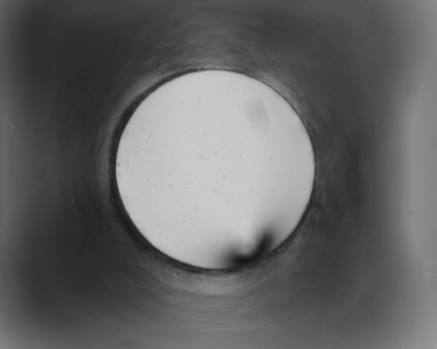 X0000088470008200706191356