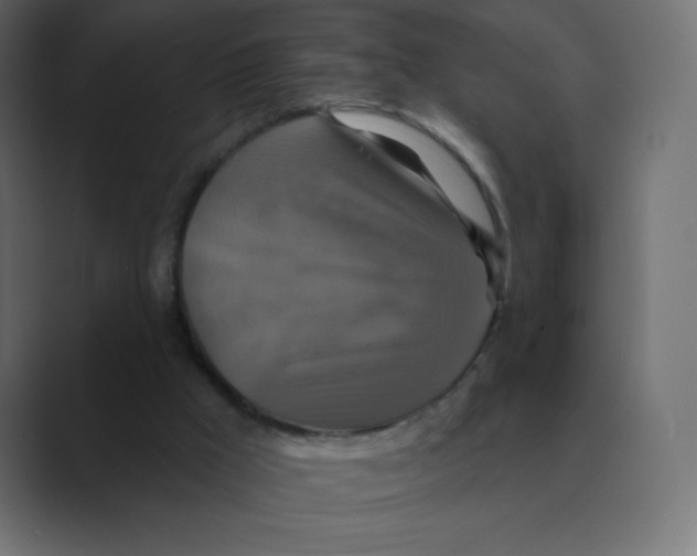 X0000088470009200706191356