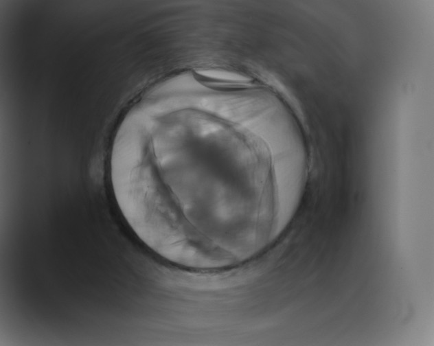 X0000088470010200706191356