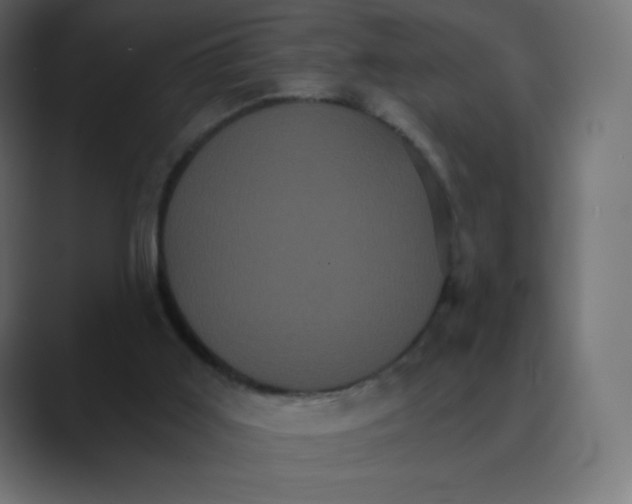 X0000088470011200706191356