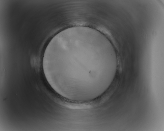 X0000088470012200706191356
