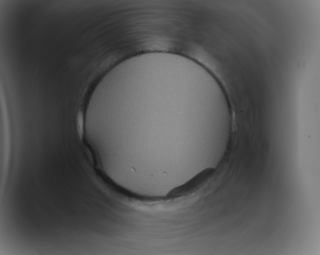 X0000088470013200706191356