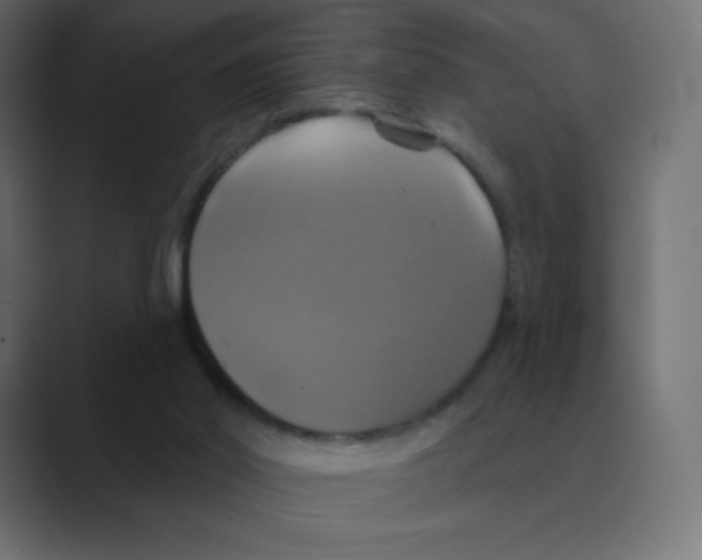 X0000088470014200706191356