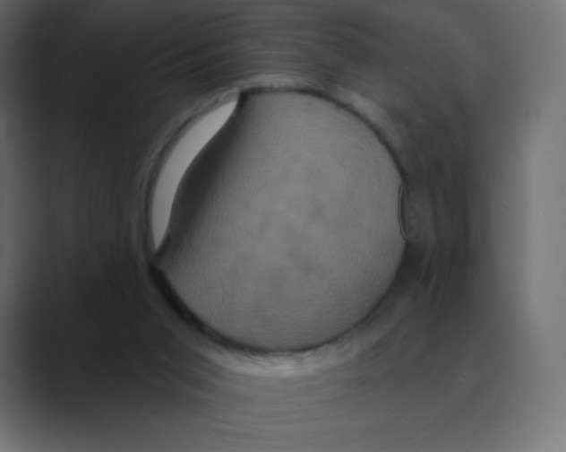 X0000088470015200706191356