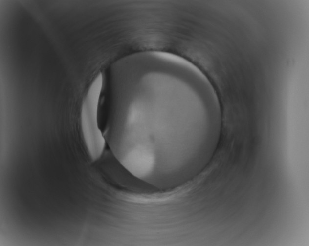 X0000088470017200706191356