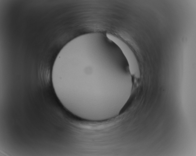 X0000088470021200706191356