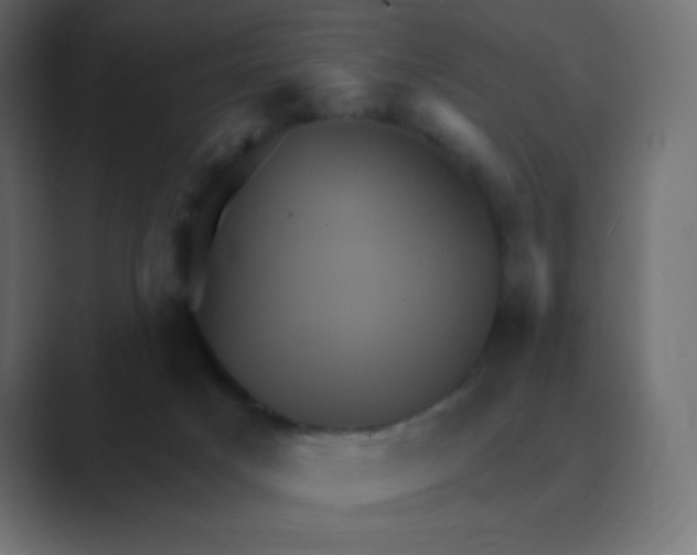 X0000088470025200706191356
