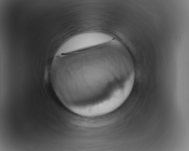 X0000088470026200706191356