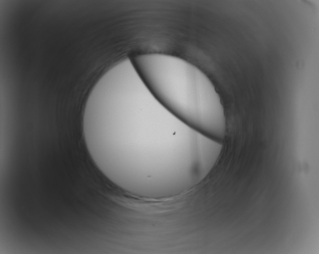 X0000088470027200706191356