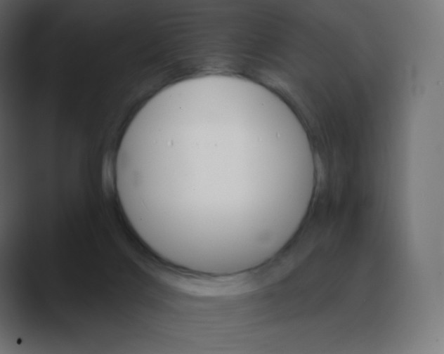 X0000088470028200706191356