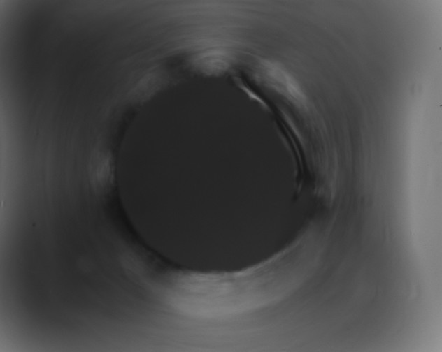 X0000088470029200706191356