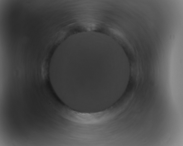 X0000088470030200706191356