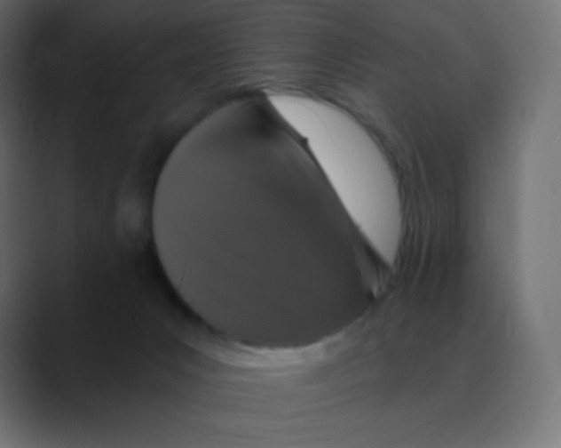X0000088470031200706191356