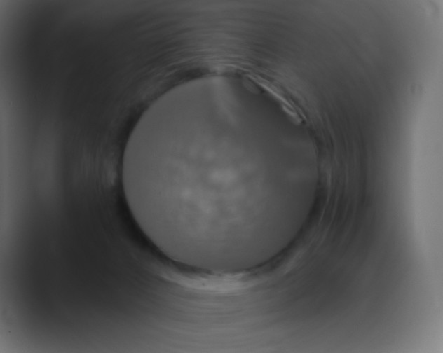X0000088470032200706191356