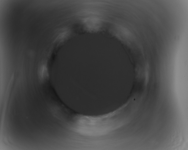 X0000088470033200706191356