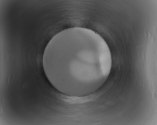 X0000088470034200706191356