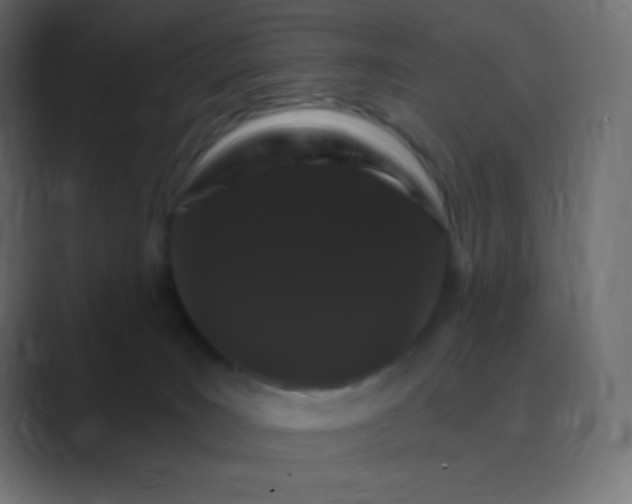 X0000088470035200706191356