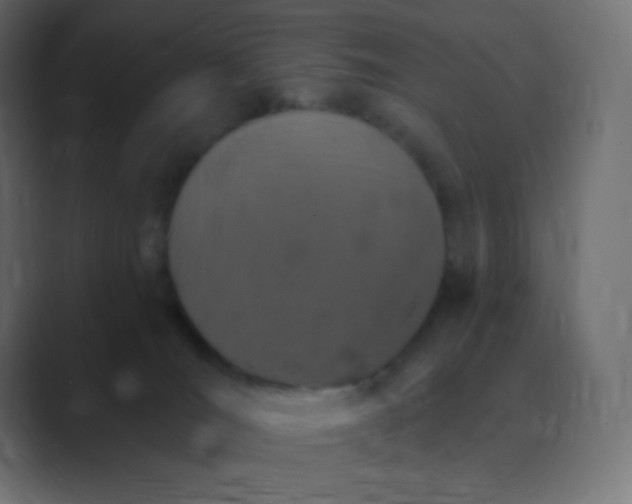X0000088470036200706191356