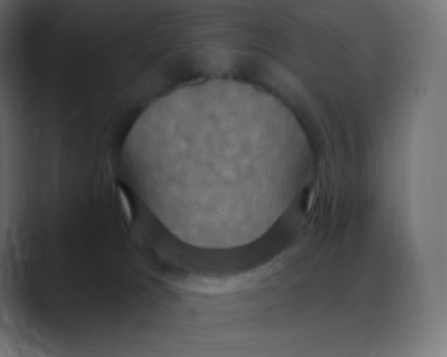X0000088470037200706191356