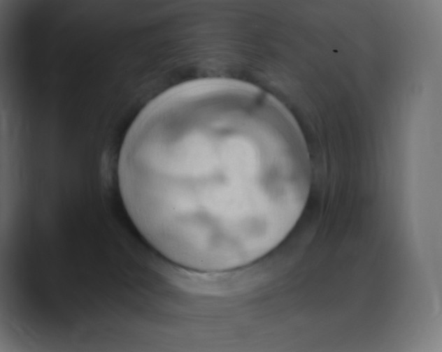 X0000088470038200706191356