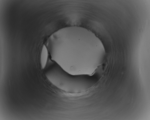 X0000088470039200706191356