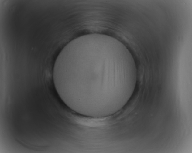 X0000088470040200706191356