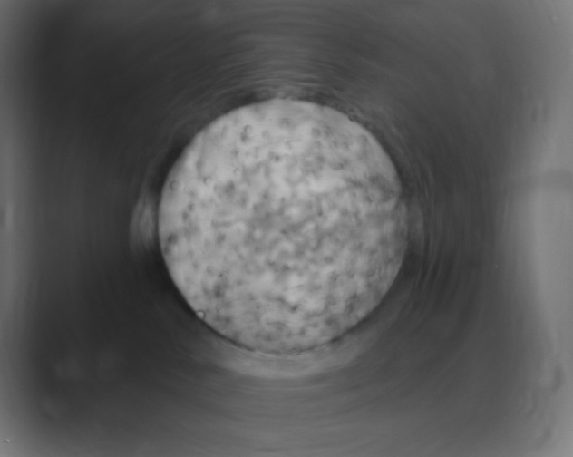 X0000088470042200706191356