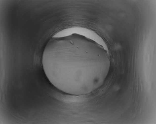 X0000088470044200706191356