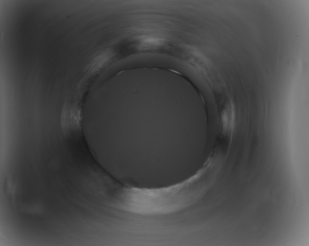 X0000088470045200706191356