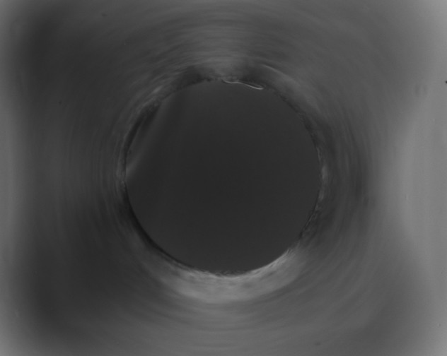 X0000088470048200706191356