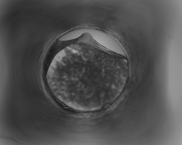 X0000088470049200706191355