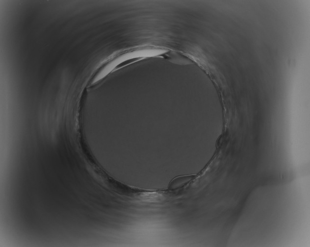 X0000088470050200706191355