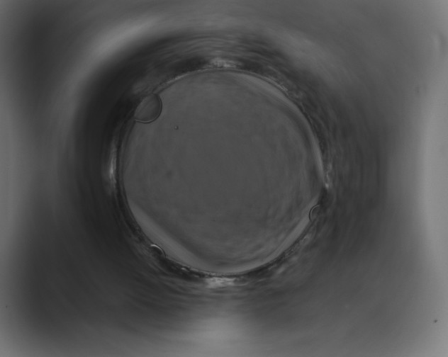 X0000088470052200706191355