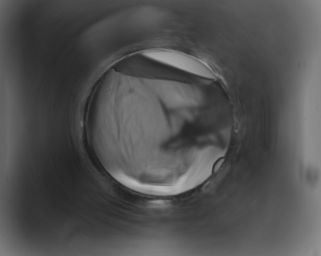 X0000088470053200706191355